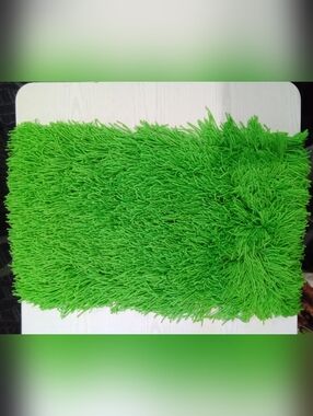 Vibrant Spring Green Shag Accent Rug